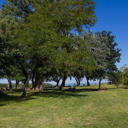 Holiday home In 42284